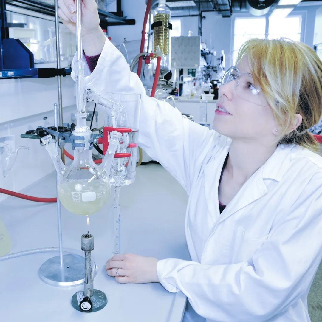 大发welcome(官网)首页登录入口