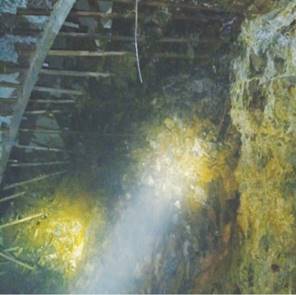 大发welcome(官网)首页登录入口